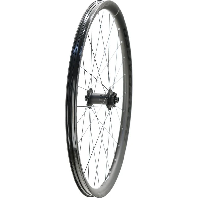 Bontrager Line Carbon 30 Front Wheel, 29" Boost 110mm Disc