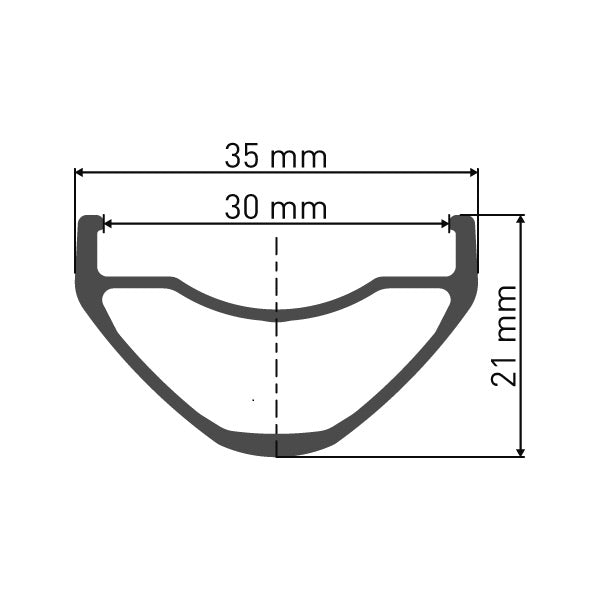 FR 1950 Wheel, 30 mm rim, 110 x 20 mm BOOST axle, 27.5 inch Front